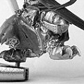 Click the thumbnail for a larger view!